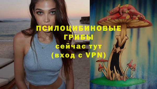 герыч Магас