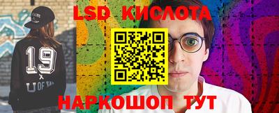 прущие грибы Волгодонск