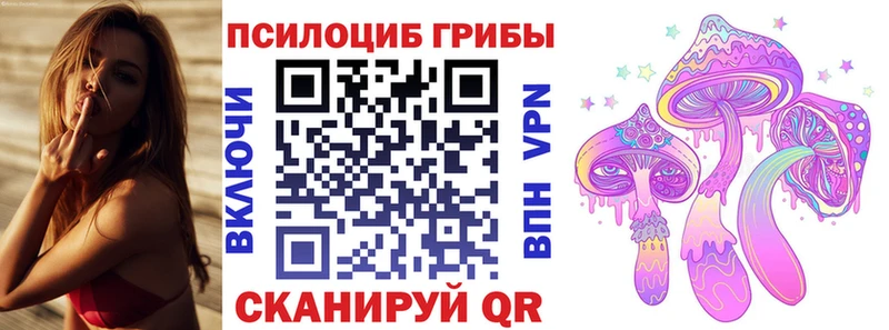 Галлюциногенные грибы Psilocybe  Десногорск 